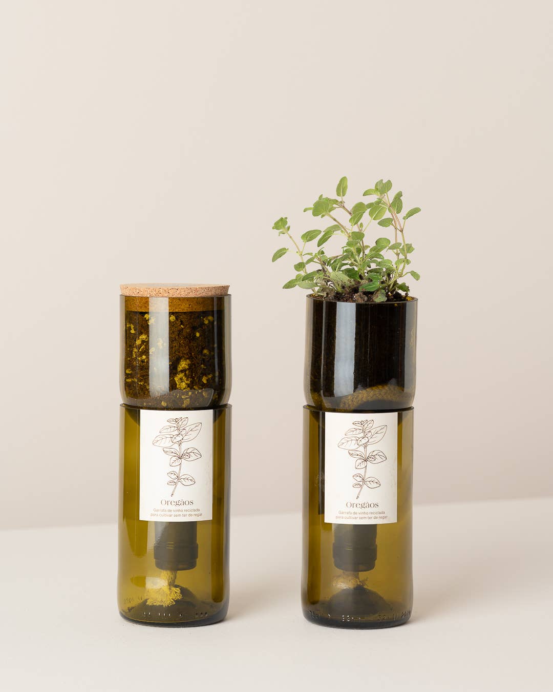 Kit plante