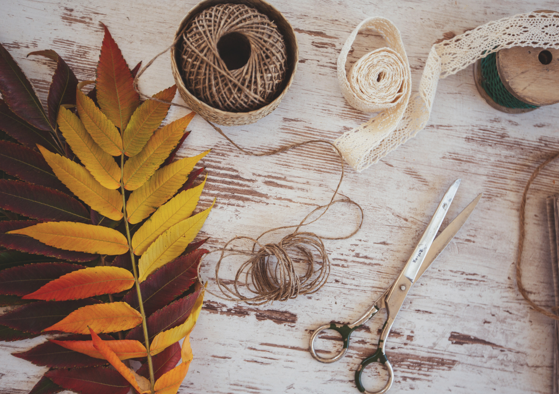 ATELIERS DU MOIS DE NOVEMBRE