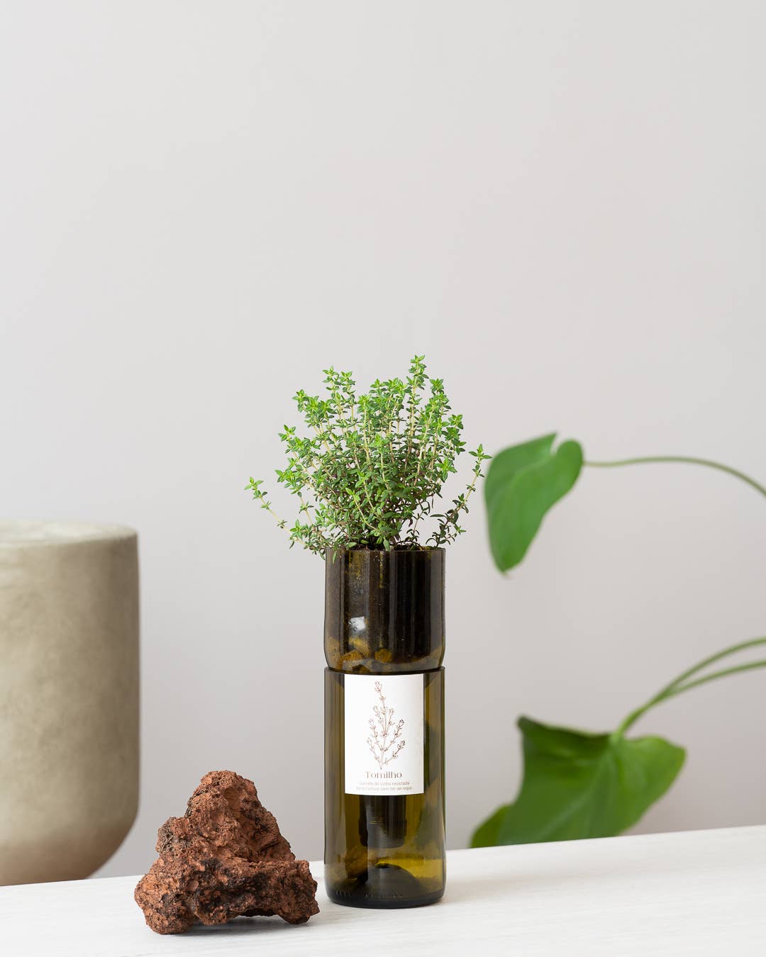 Jardin en Bouteille - Thym