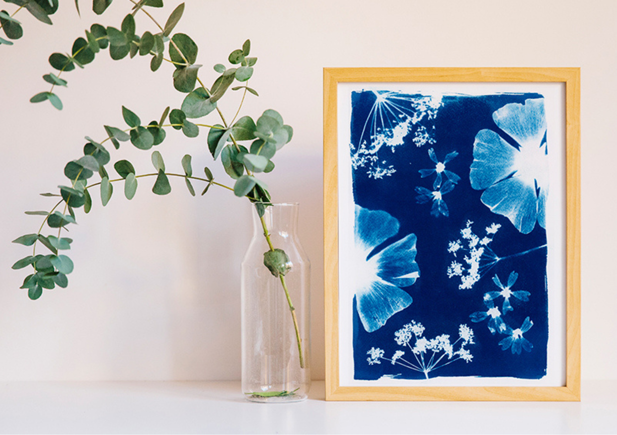Atelier découvrir le cyanotype sur papier