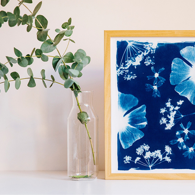 Atelier découvrir le cyanotype sur papier