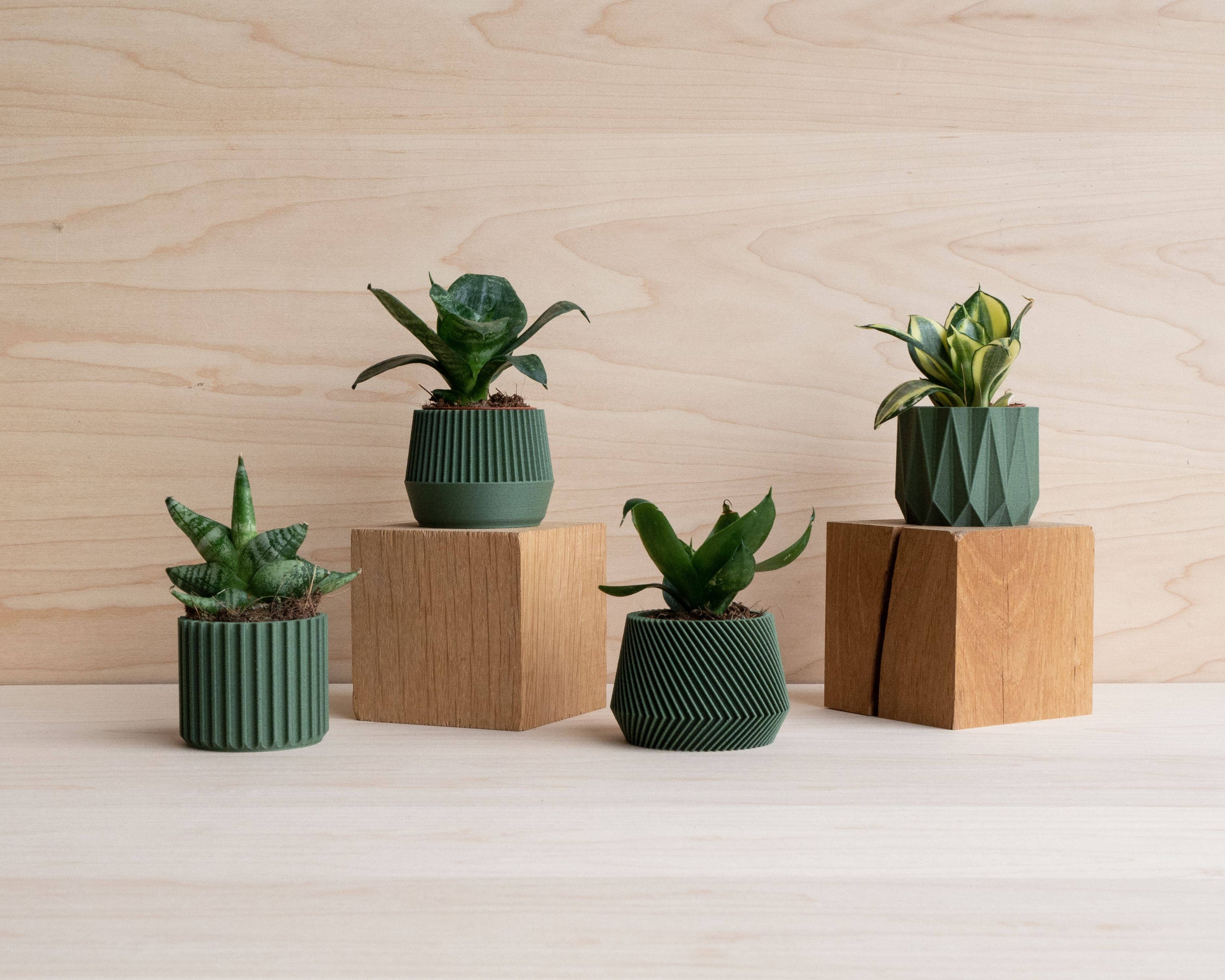 Cache-pot écologique Braga