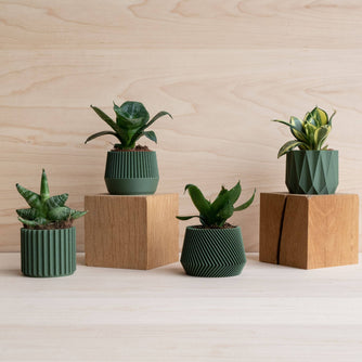 Cache-pot écologique Braga