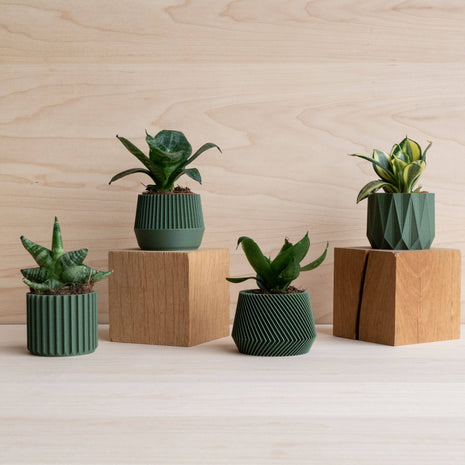 Cache-pot écologique Braga