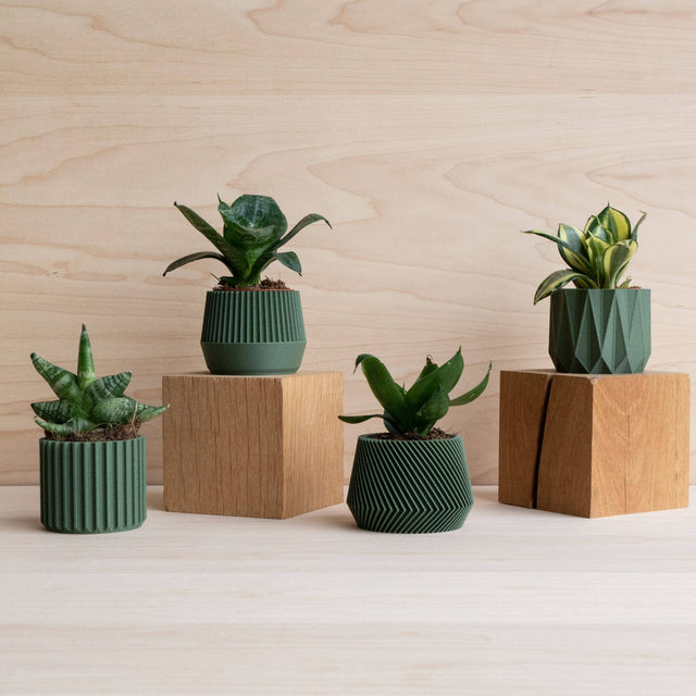 Cache-pot écologique Braga