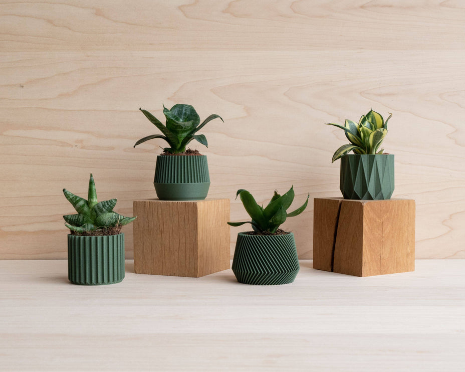 Cache-pot écologique Braga