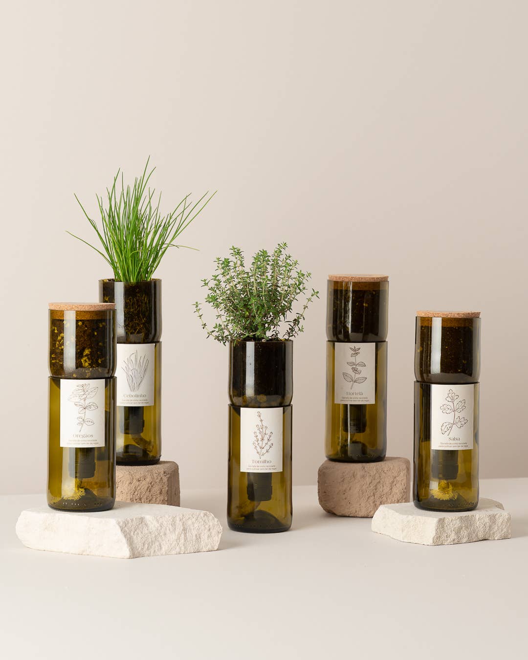Jardin en Bouteille - Ciboulette
