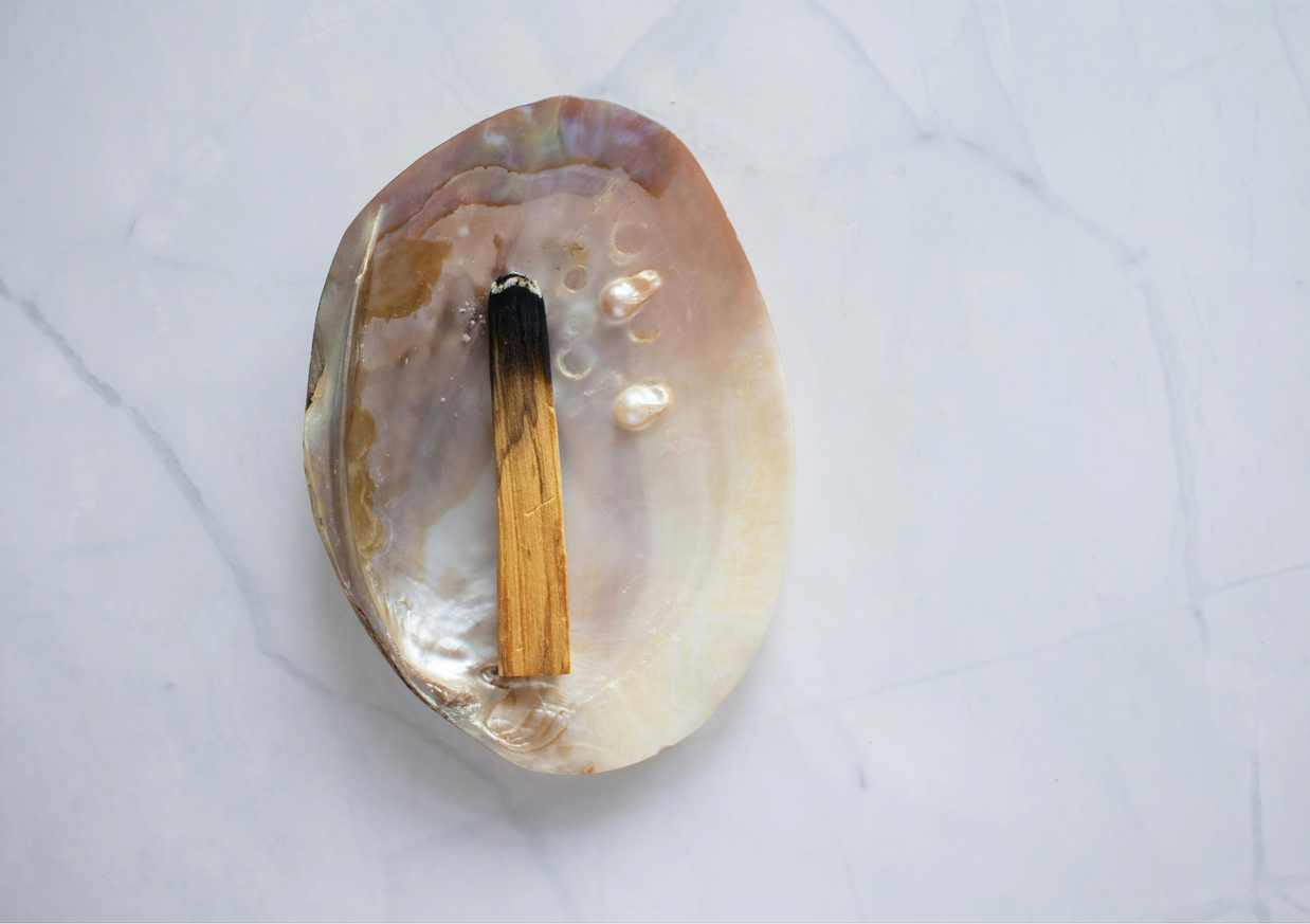 Palo Santo éthique - Bois sacré pour la purification
