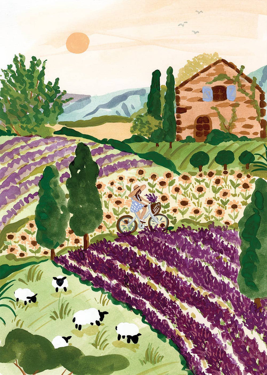 Puzzle 2000 pièces - Provence