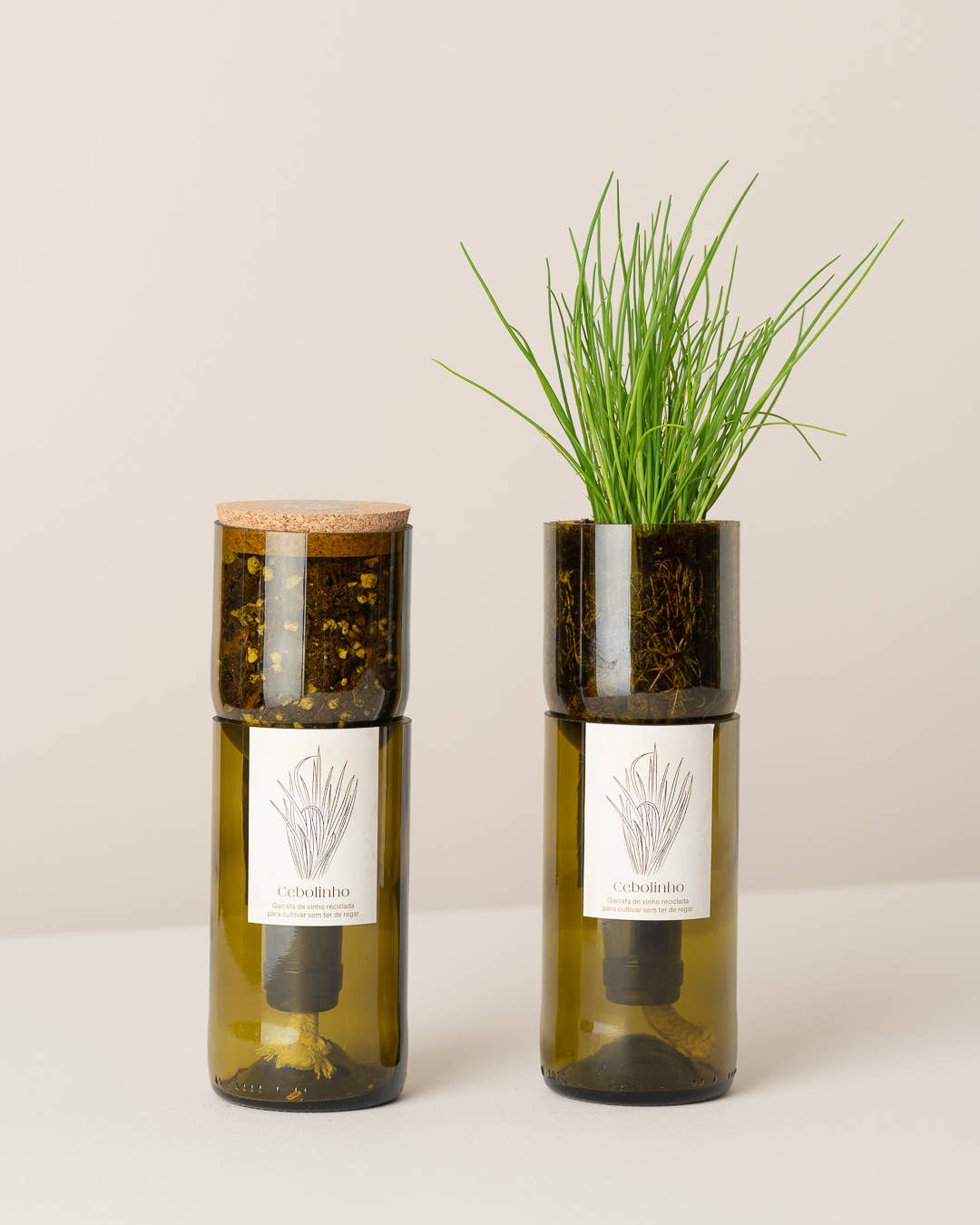 Jardin en Bouteille - Ciboulette