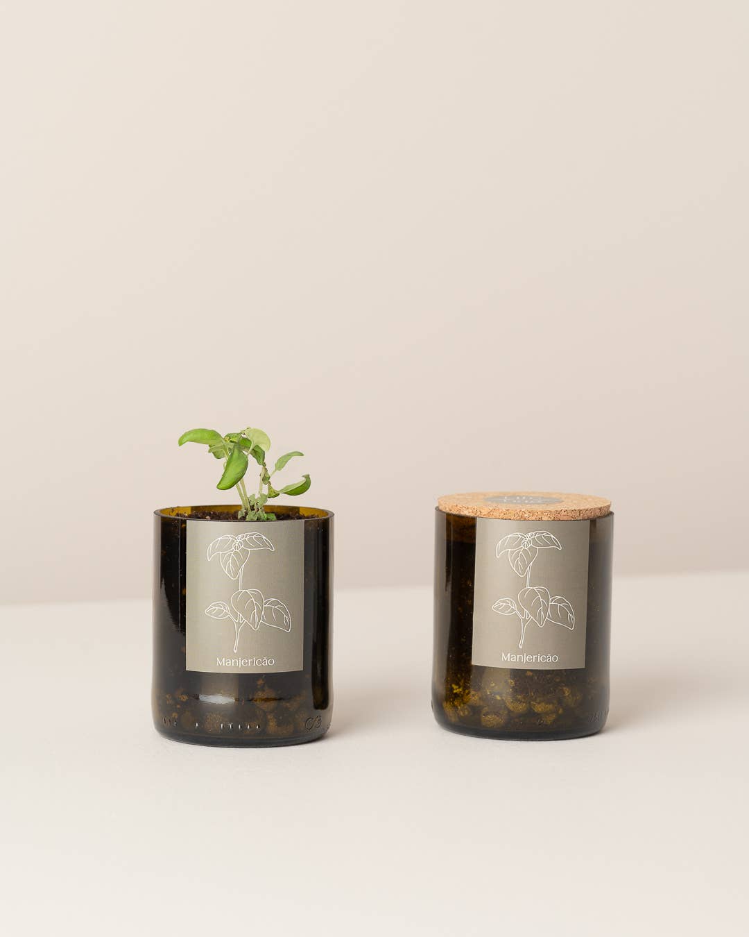 Jardin en Demi Bouteille - Basilic