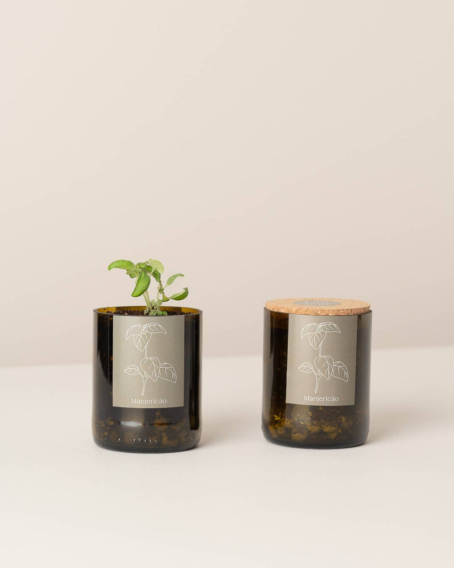 Jardin en Demi Bouteille - Basilic