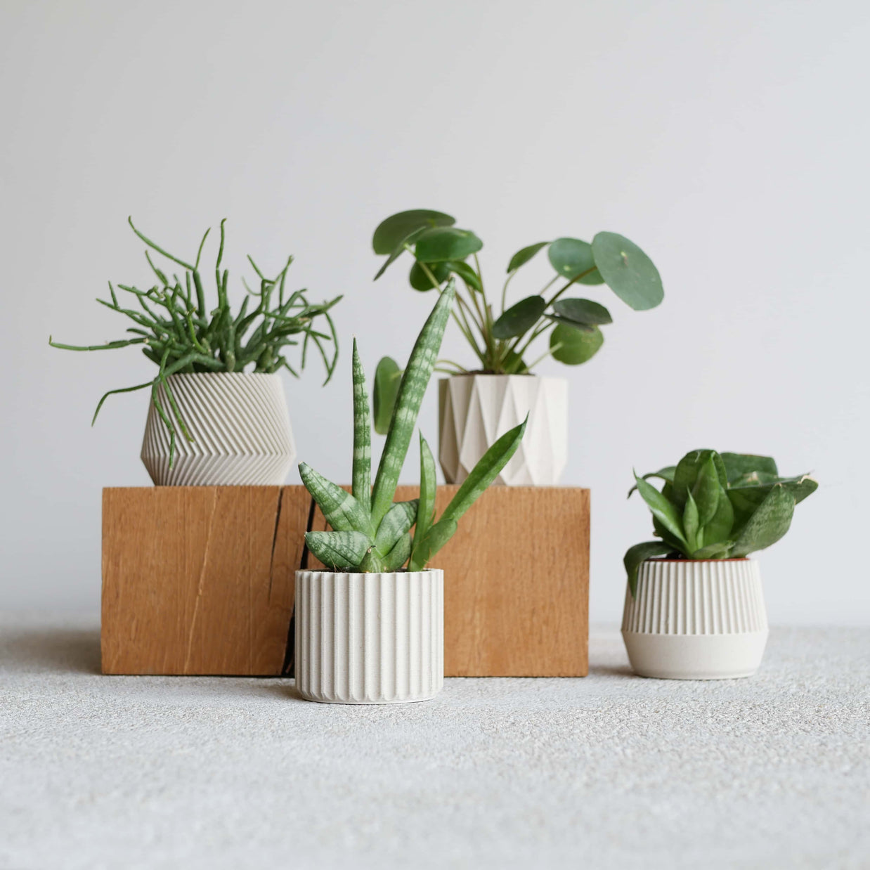 Cache pot écologique Oslo