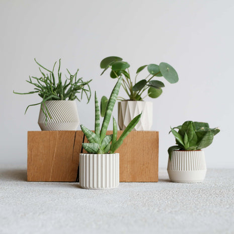 Cache pot écologique Oslo