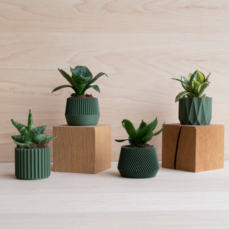 Cache-pot écologique Braga