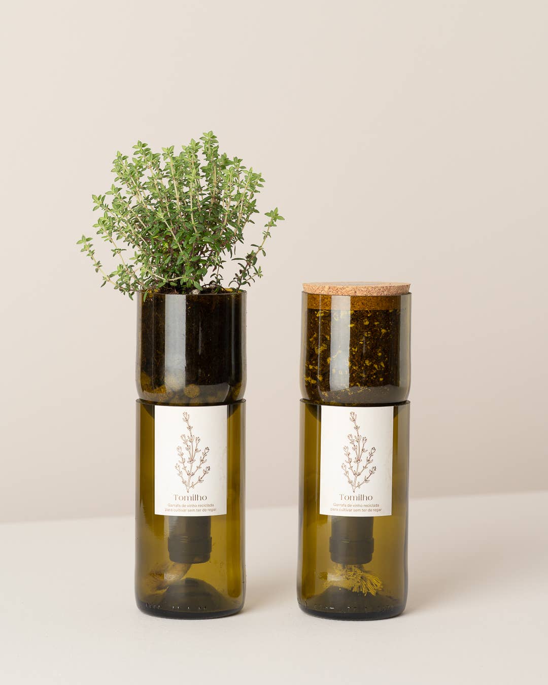 Jardin en Bouteille - Thym