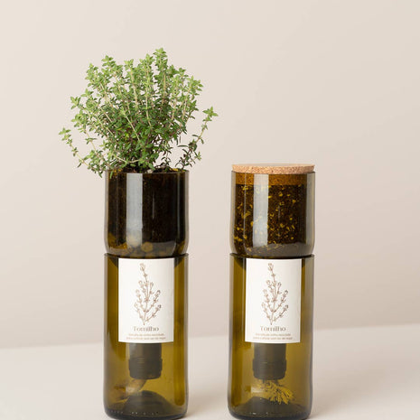 Jardin en Bouteille - Thym