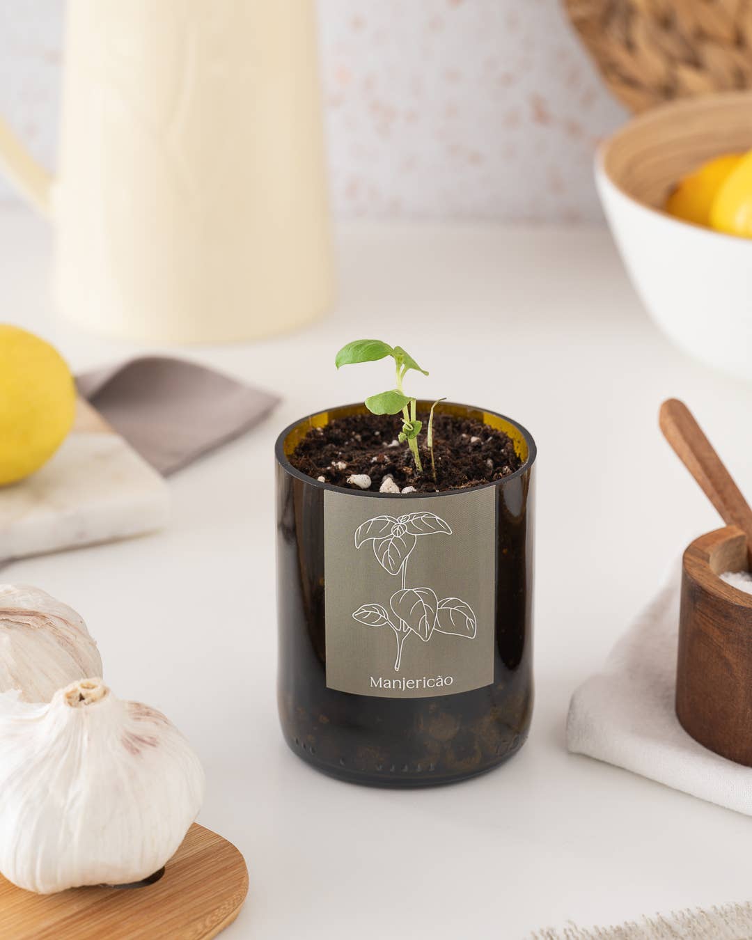 Jardin en Demi Bouteille - Basilic
