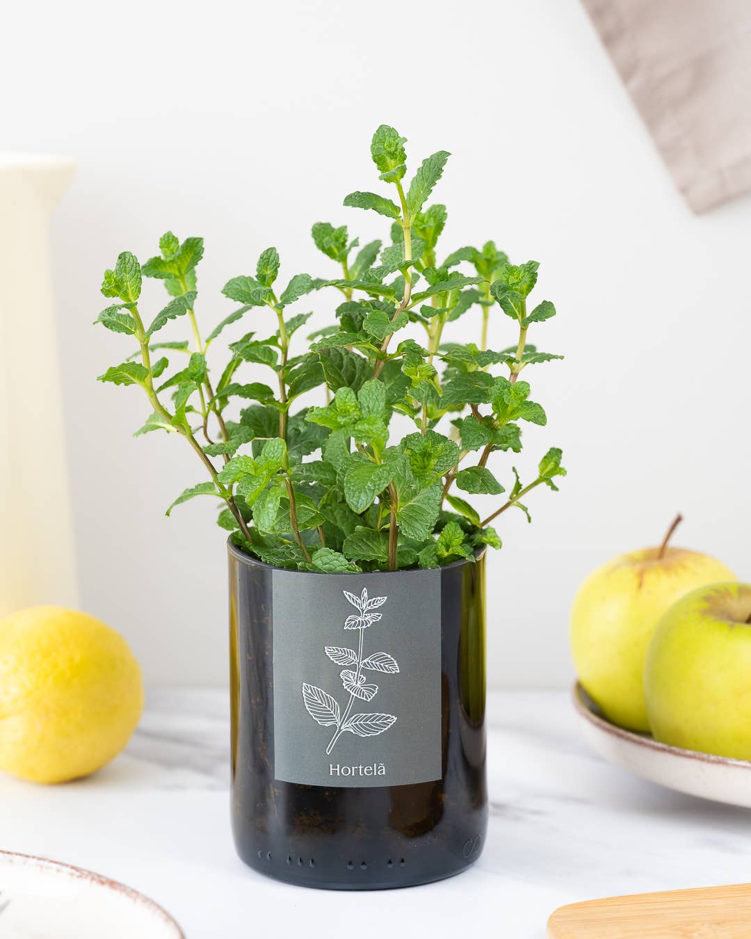 Jardin en Demi Bouteille - Menthe