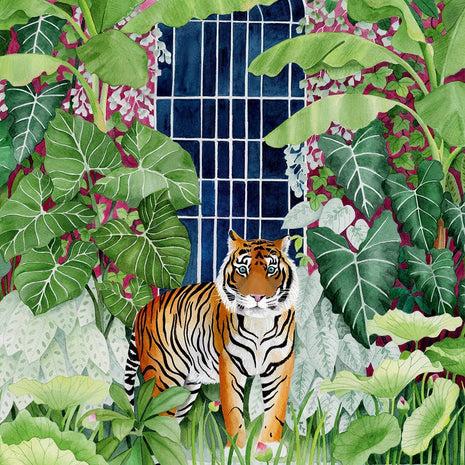 Puzzle 1000 pièces - Greenhouse Tiger