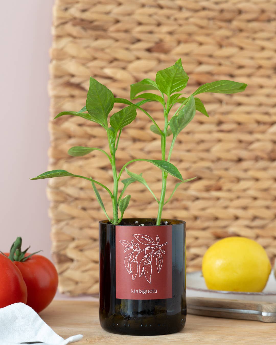 Jardin en Demi Bouteille - Piments