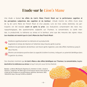 Boisson Boost Bio · Chicorée