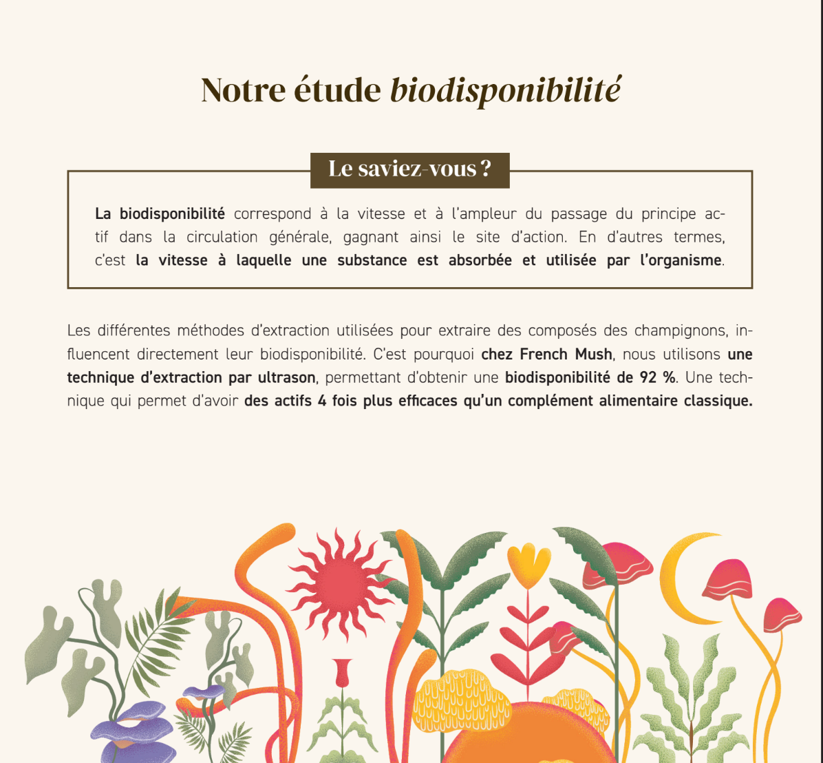 Boisson Boost Bio · Chicorée