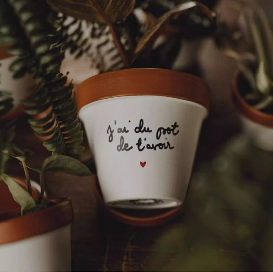 Pot 