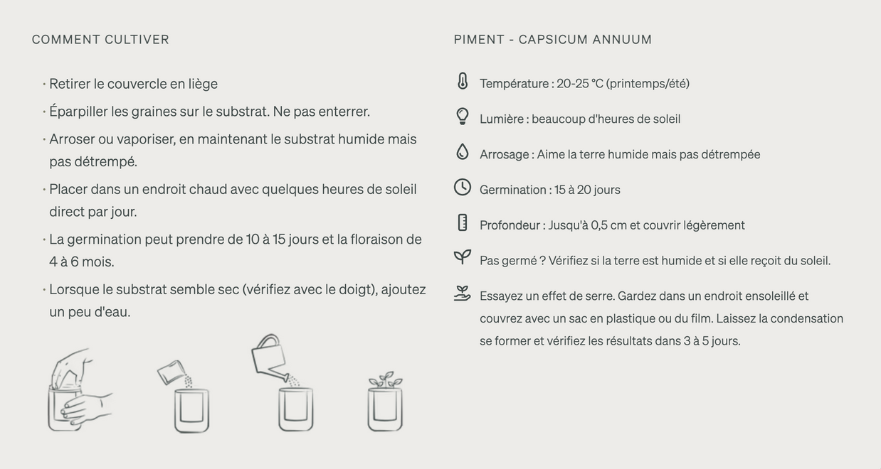 Jardin en Demi Bouteille - Piments