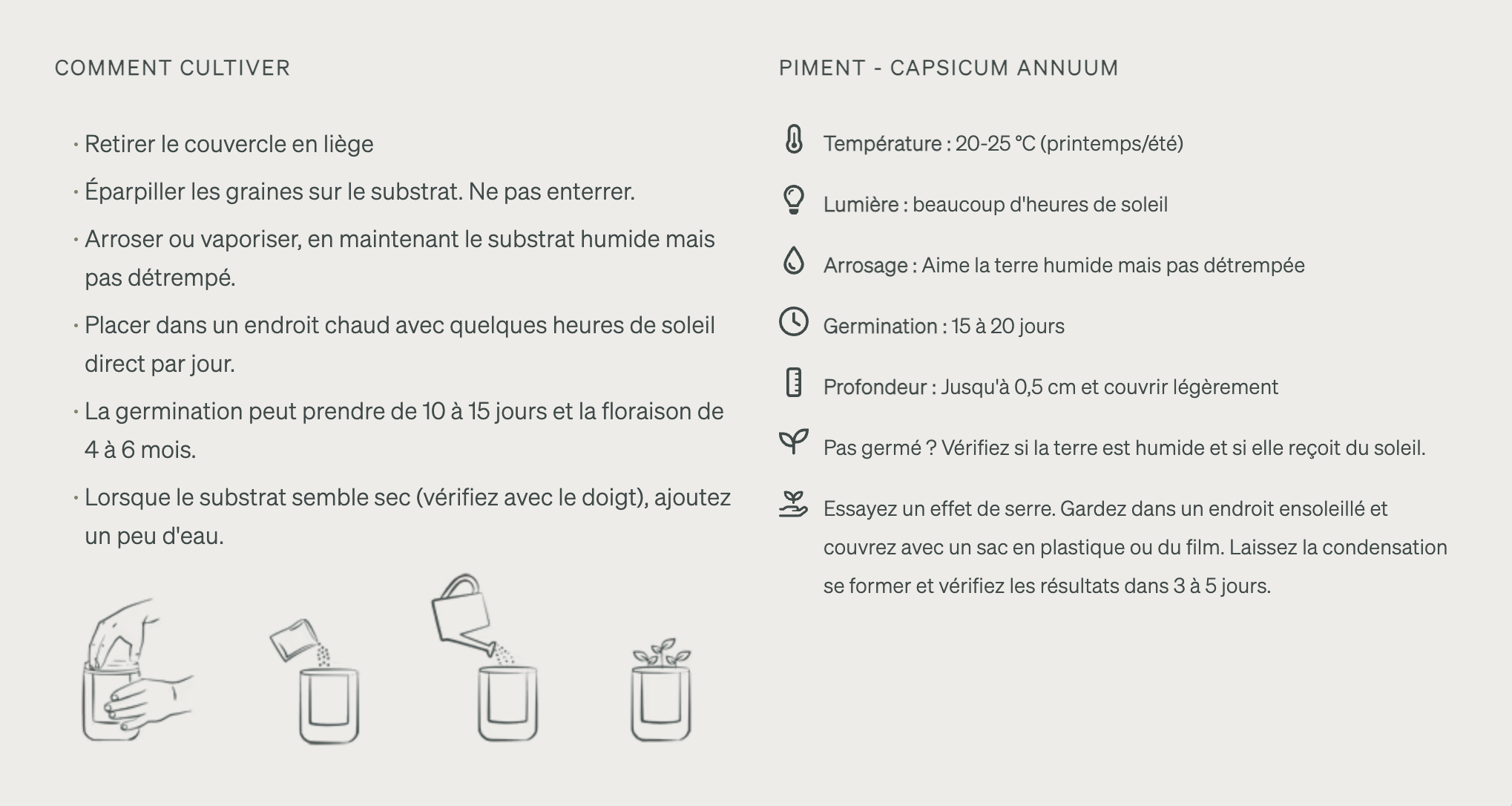 Jardin en Demi Bouteille - Piments