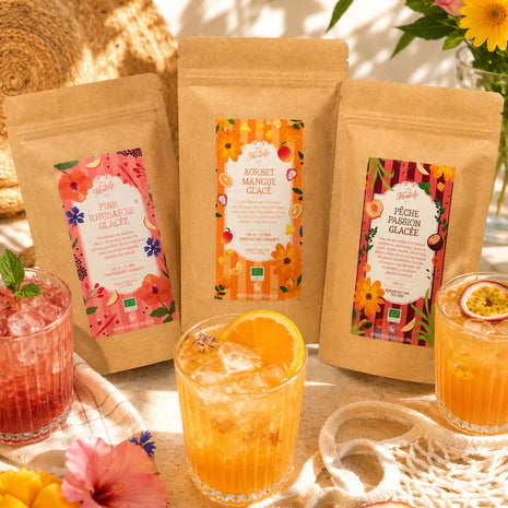 Infusion Sorbet Mangue Glacé bio - 100g