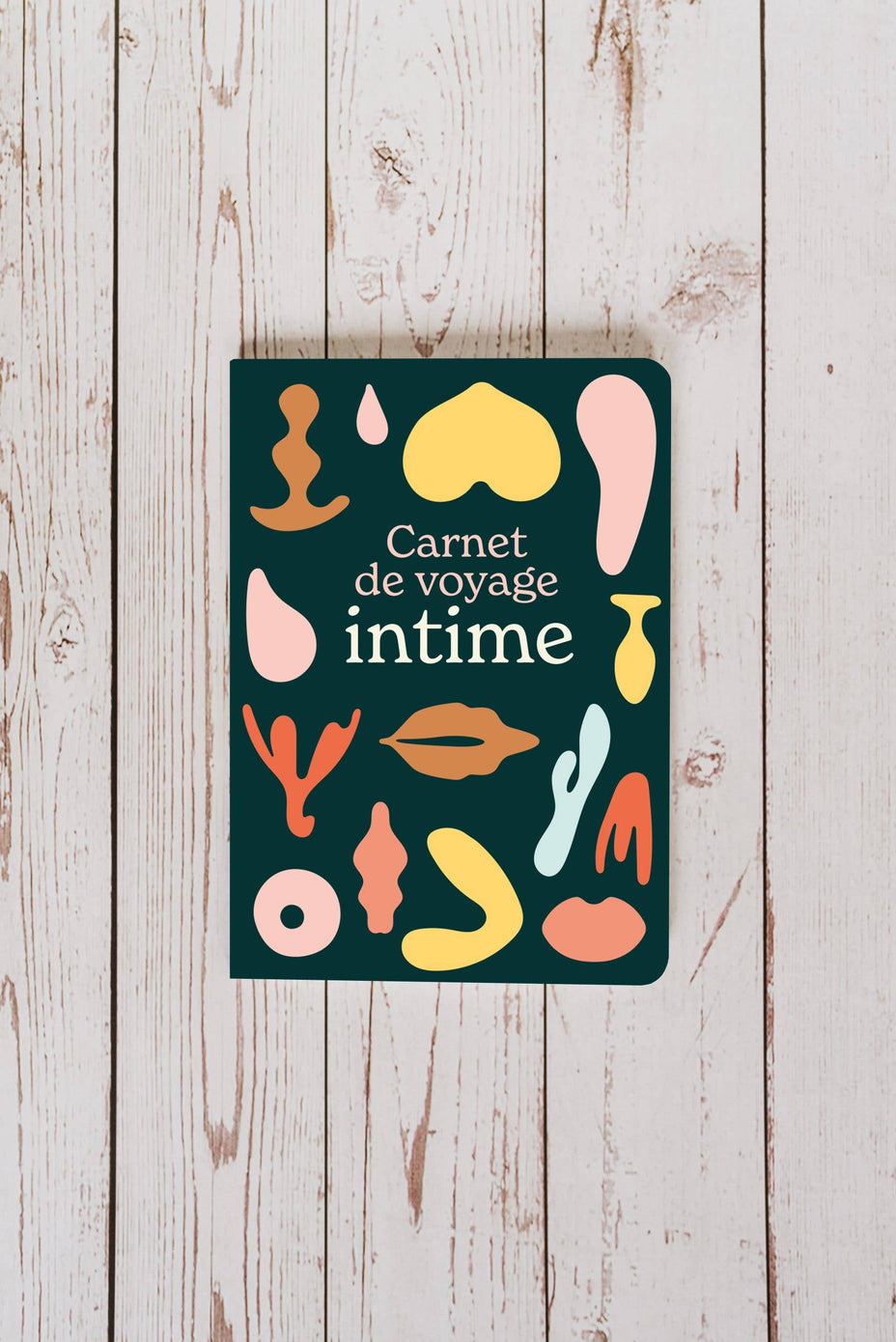 Carnet de voyage intime