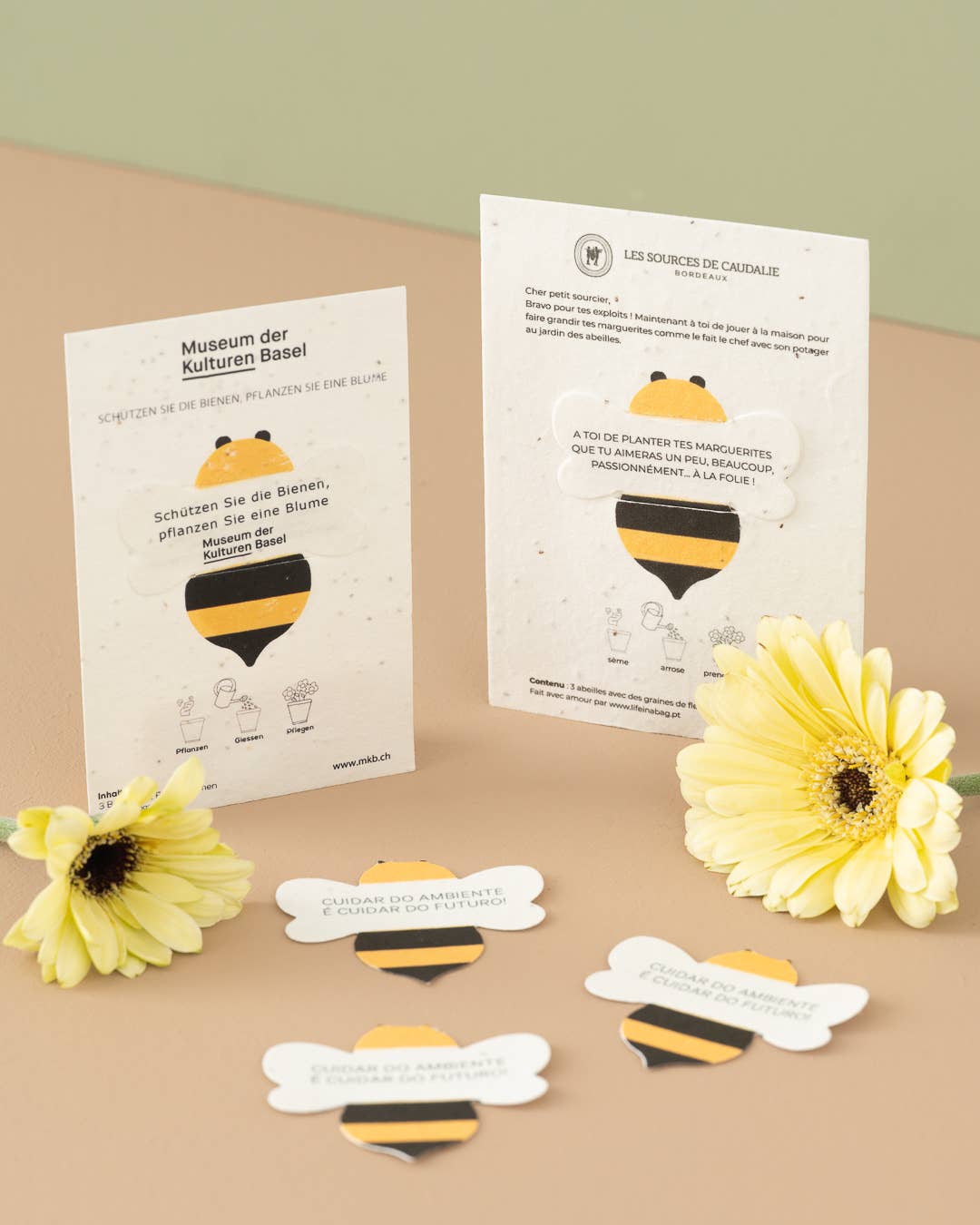 Cartes à planter en forme d'abeille avec fleurs jaunes - Life in a Bag