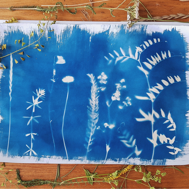 Atelier découvrir le cyanotype sur papier
