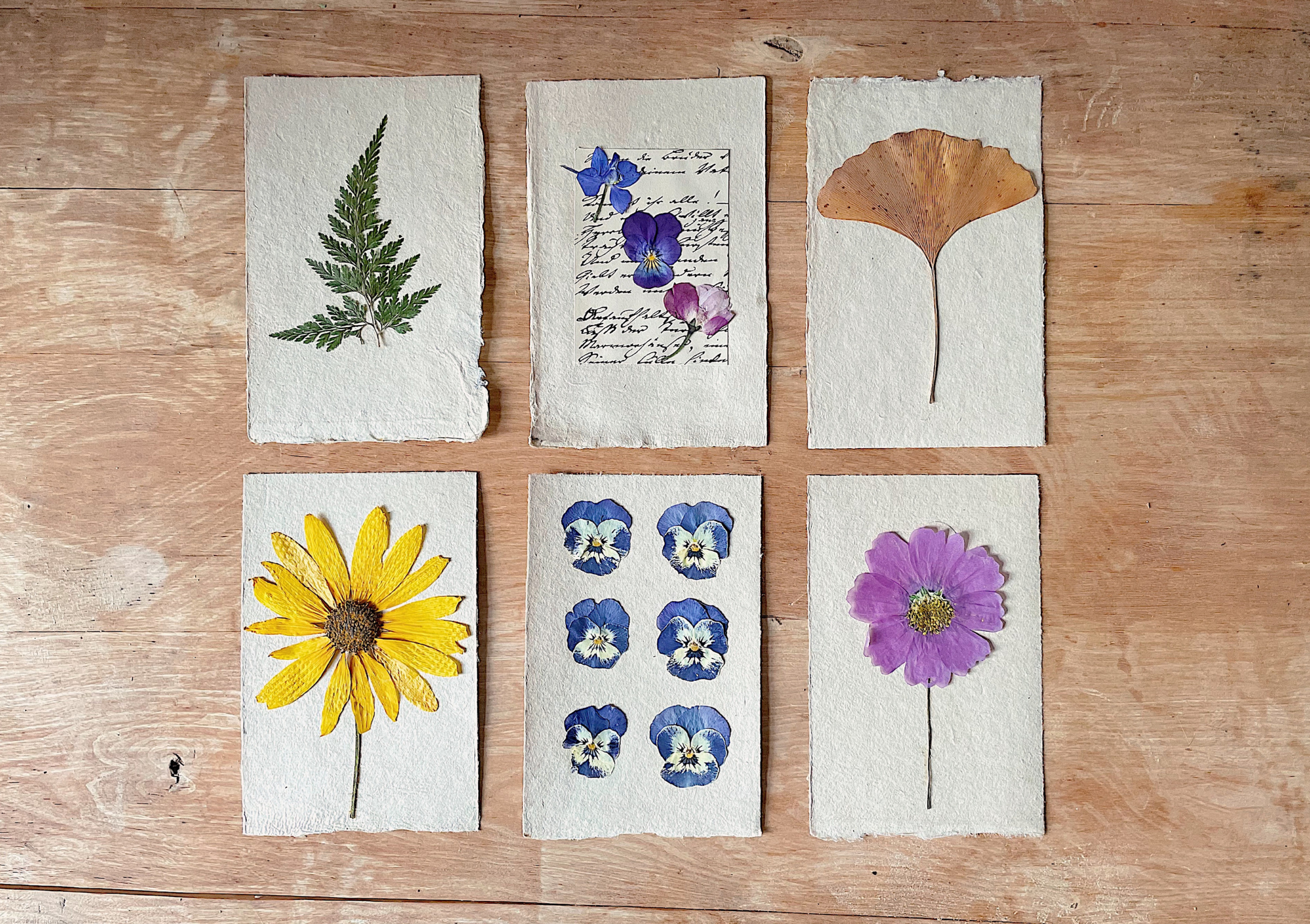 Atelier découvrir le cyanotype sur papier