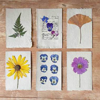 Atelier découvrir le cyanotype sur papier