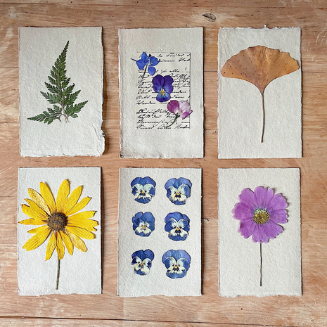 Atelier découvrir le cyanotype sur papier