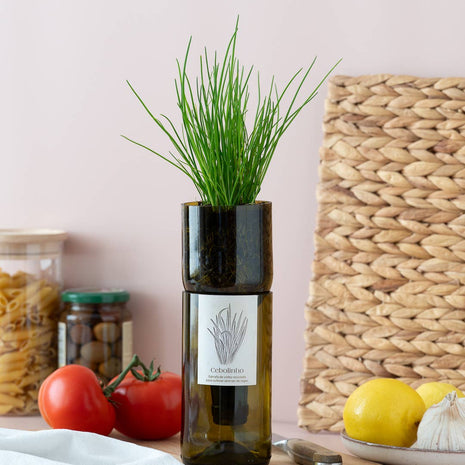 Jardin en Bouteille - Ciboulette