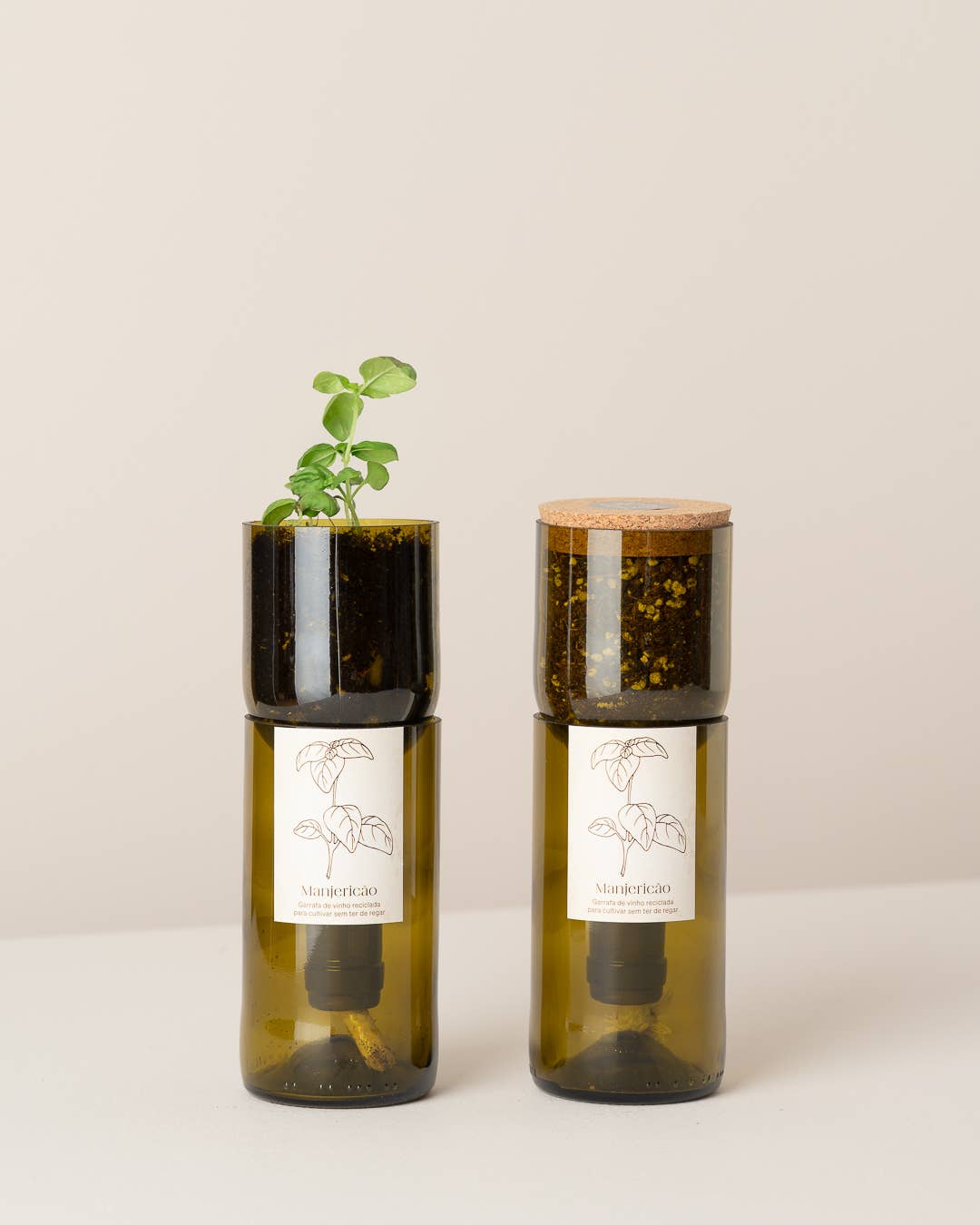 Bouteille Grow en verre recyclé avec système d'auto-arrosage et pousse de basilic - Life in a Bag