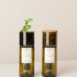Bouteille Grow en verre recyclé avec système d'auto-arrosage et pousse de basilic - Life in a Bag