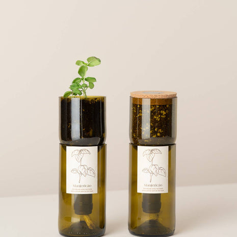 Bouteille Grow en verre recyclé avec système d'auto-arrosage et pousse de basilic - Life in a Bag