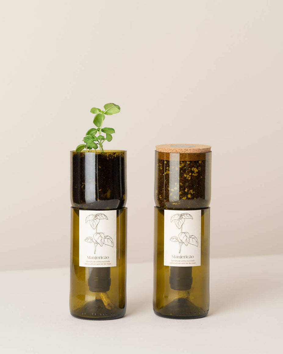 Bouteille Grow en verre recyclé avec système d'auto-arrosage et pousse de basilic - Life in a Bag