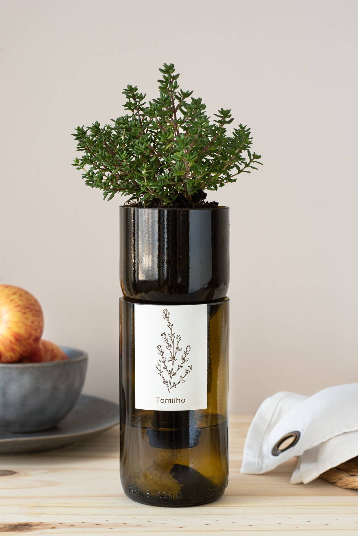 Bouteille Grow Life in a Bag en cuisine avec herbe aromatique fraiche