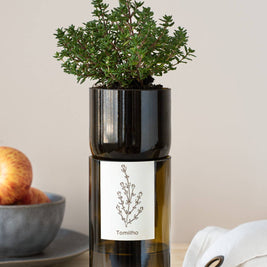 Bouteille Grow Life in a Bag en cuisine avec herbe aromatique fraiche
