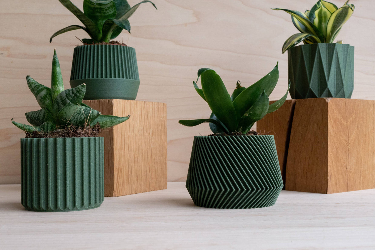 Cache-pot écologique Braga