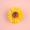 Pince Tournesol