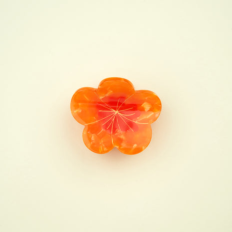 Mini pince capucine