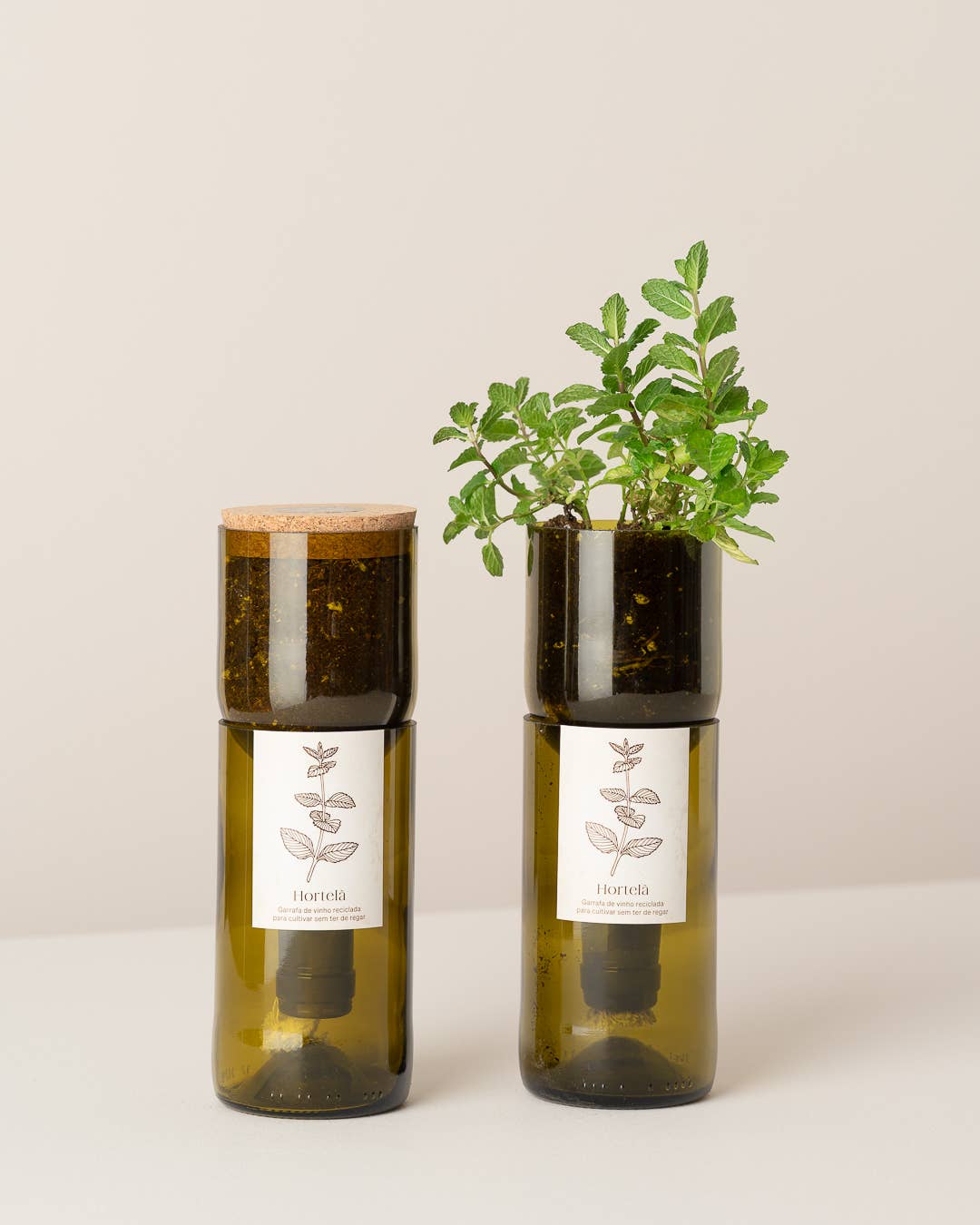 Jardin en Bouteille - Menthe