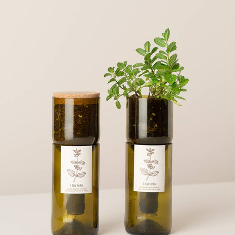 Jardin en Bouteille - Menthe