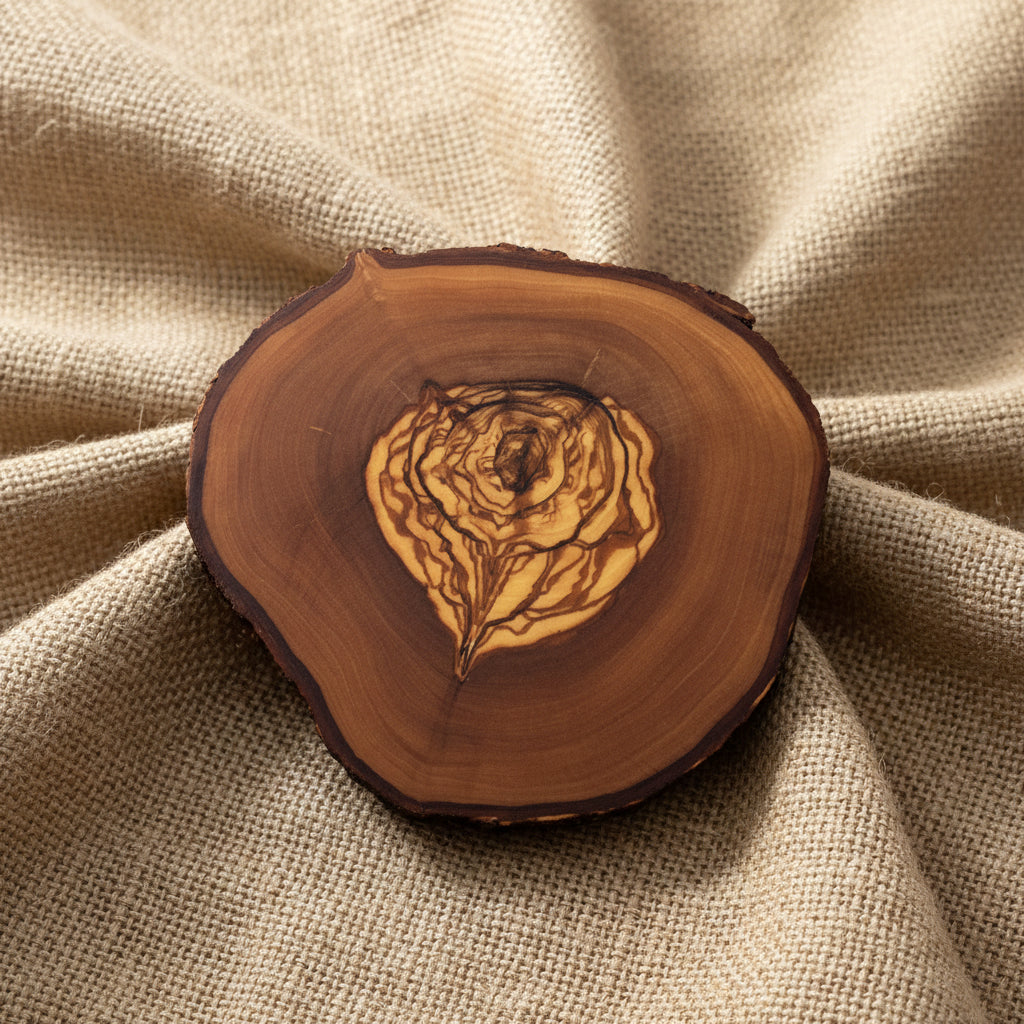 Sous-verres naturels en bois d’olivier avec coupe authentique